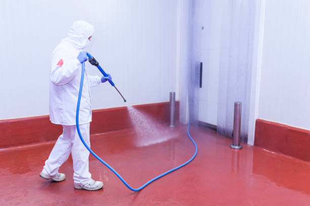 Best Spring Cleaning  in Bidwell, OH